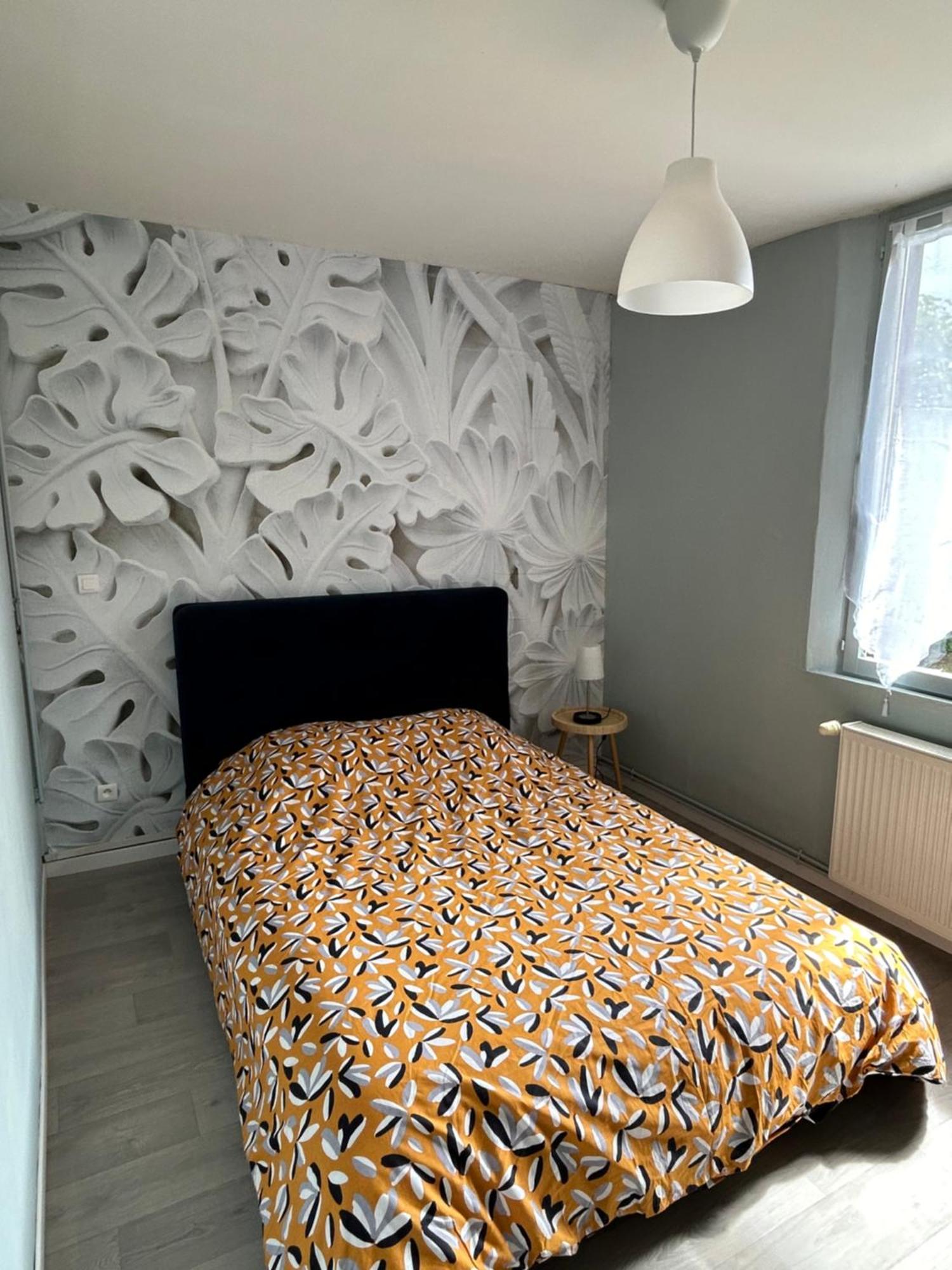 Copines'House Apartment Chauny ภายนอก รูปภาพ